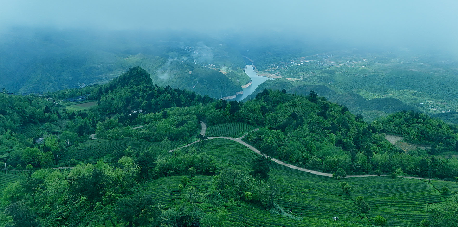 抹茶 - Matcha – Image 6