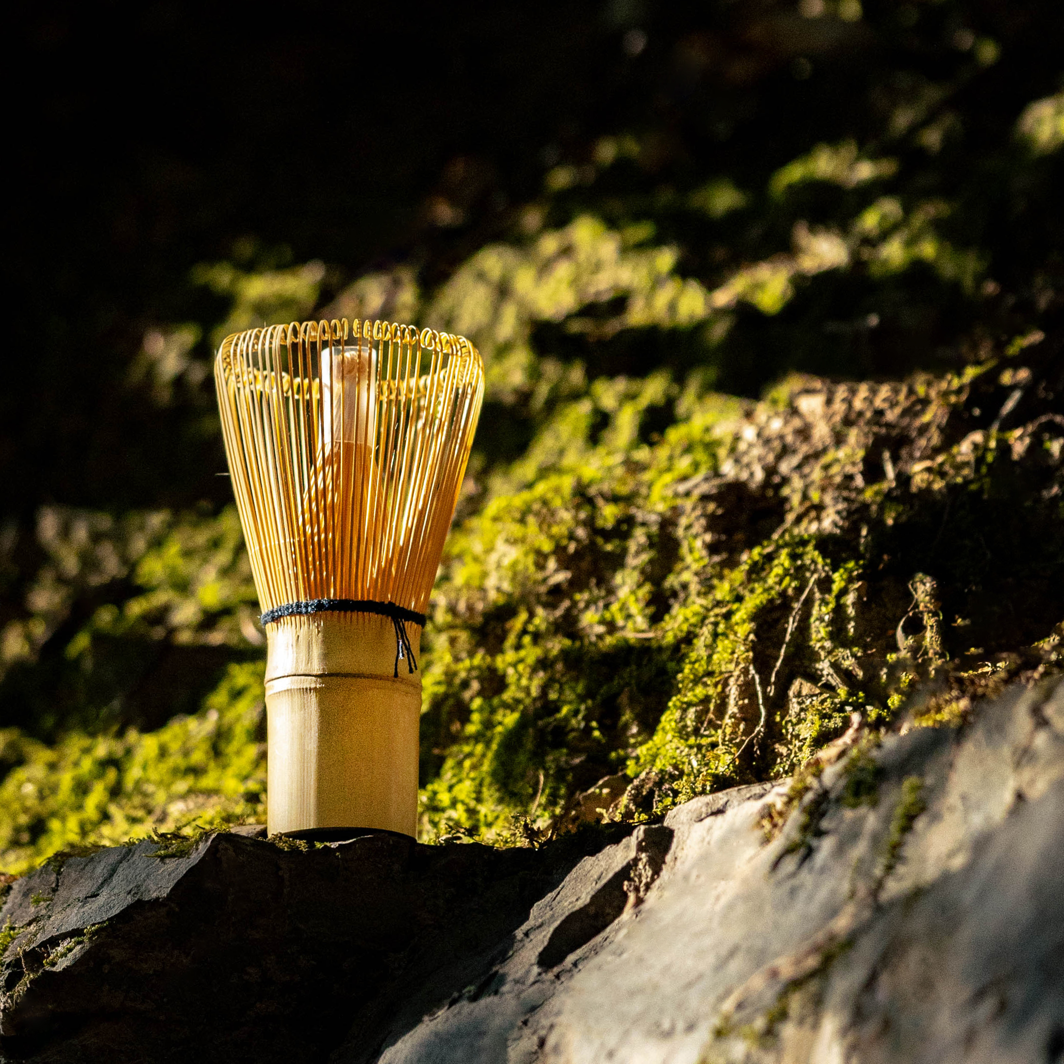 Fouet à matcha en bambou – Chasen 茶筅 – Image 2